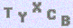 manual verify